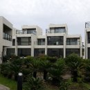 누루세미 이미지