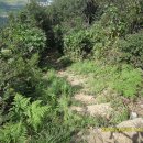 양정지구대 이미지