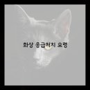 생명을 지키는 응급처치 및 심폐소생술 이미지