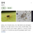 P&P PC방 | 춤을 추며 절망이랑 싸우다가 개 쳐맞은 5월.zip