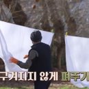 둥지곤충나라