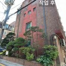 (주)넝쿨 | 빌라 화단 조경 관리: 강남구 청담동 건물 외벽 넝쿨 제거 및 나무 전지 시공 후기