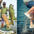 최상사이언스 이미지