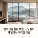 소노펠리체 델피노 | 설악산 뷰에 반하다: 소노펠리체델피노 객실 리얼 후기