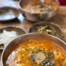 만세칼국수 | 평택 만세로 장칼국수 맛집 강릉해변메밀막국수 후기