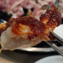 신바람오리 이미지