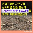 숲을 조성하겠다며 숲을 파괴하는 은평구청의 봉산 편백나무 힐링숲 확대조성 사업 이미지