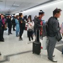 하방지천 | 호주여행 10일간의 시드니, 타즈매니아 여행 시작, 대한항공, 젯스타 탑승후기