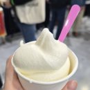 A260 | 2026 불교박람회🏯 후기