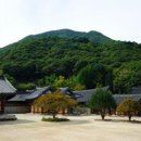 순천-42호 이미지