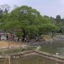 정자나무공원 이미지