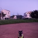 미단행복로 이미지