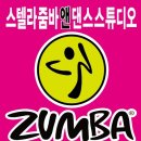 스텔라점핑