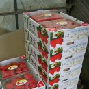 범수네농장 이미지