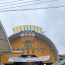 함양(대전) | 여자 혼자 뚜벅이 국내여행) 1박2일 함양/대전