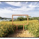 (야간)가을밤 클래식 산책 이미지