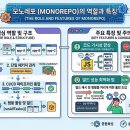 엔드모노 | [Monorepo] 모노레포 반년 후기 — 좋다는데 나는 왜 이렇게 힘들었을까