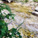 강릉외갓집 이미지