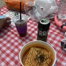 월령리(월령포구) | 제주 월령포구 스노쿨링 후기ㅣ스노쿨링 명소 장비 대여 주차 샤워 물고기 총정리