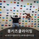 아이조은태권도 | 수원키즈클라이밍 - 몽키즈클라이밍 수원호매실점
