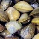 나루터식당 이미지