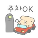 신스 에스테틱