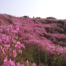 산처럼물처럼 이미지