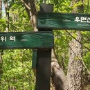 6월 정기도보, 이순신 백의종군길 제3회 - 우면산자락길 (공지) 이미지
