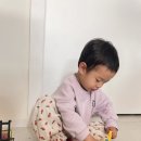 두돌아기 장난감 추천_뽀로로 중장비차