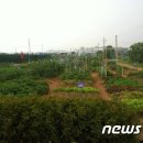 화영농장2 이미지