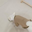 하이독 | 강아지 신부전 초기 습식사료 하이독 멀티프 급여 후 신장수치 변화 후기