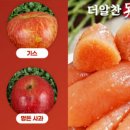 748 지디넷코리아