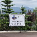 약초길 이미지