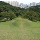 양정1동-28 이미지