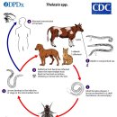 박순석동물메디컬센터 이미지