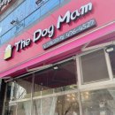 도그맘애견 이미지