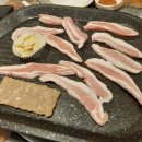 국가대표송파