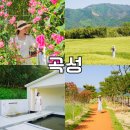 곡성군목사동면죽정보건진료소 | 전라도 여행지 추천 곡성 여행 코스 5곳 동화정원 황톳길 공림 카페 등