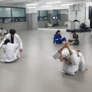 대한체육관 2도장(태권도) 이미지