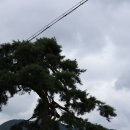 청도참한우식육식당 이미지