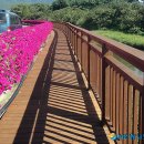 원로드테크 이미지