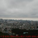 남구-093 Daum카페
