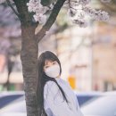 조이피스 이미지