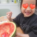 [관평동 국어학원] 7세부터 준비하는 수시 논술의 기초! 마음을 읽는 '순국어논술' 첫 수업 후기 (feat...