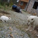 둥지민박민박 이미지