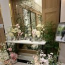 파티오 | 파티오벨라 상담 후기 / 26년 하반기 견적 공유 O (계약 X) / 장단점