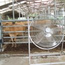 울산광역시 농업기술센터 이미지