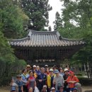 토지장터 이미지