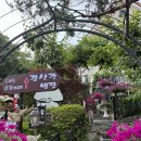 김삿갓 | [경기 남양주] 30찬 채식 위주 남양주한정식 맛집 김삿갓밥집 내돈내산 후기