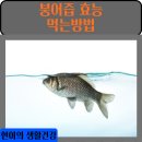 안녕;붕어야 이미지